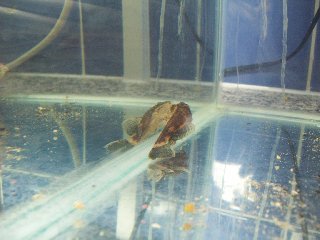 101_0724.jpg