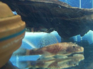 101_0731.jpg