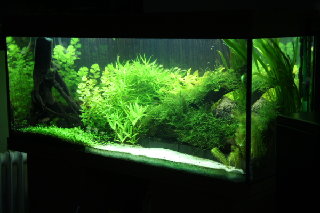 240L at night