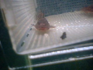 photo003.jpg