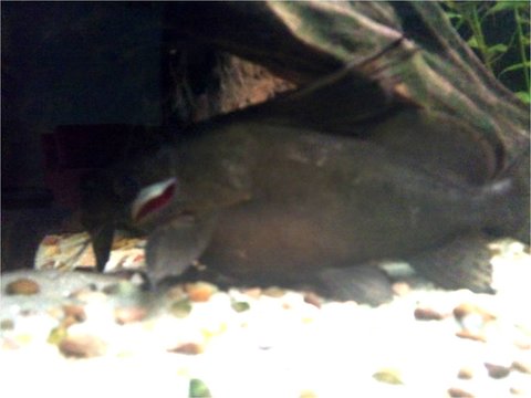 Picture3.jpg